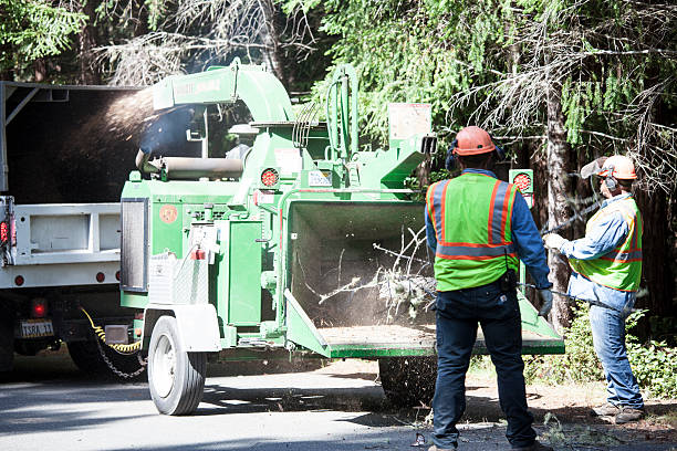Best Seasonal Cleanup (Spring/Fall)  in Salida, CA