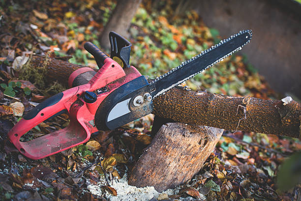 Best Lawn Pest Prevention  in Salida, CA